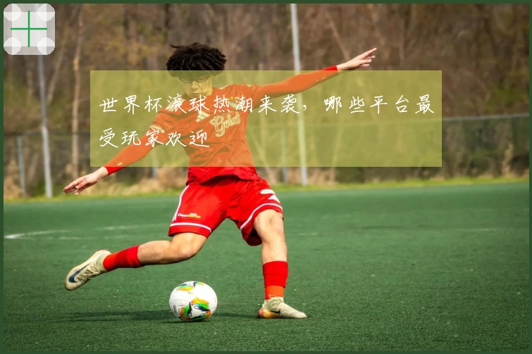世界杯滚球热潮来袭，哪些平台最受玩家欢迎