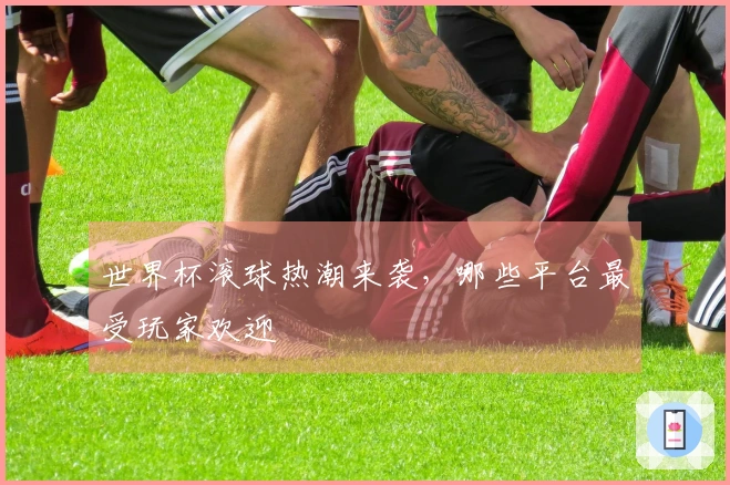 世界杯滚球热潮来袭，哪些平台最受玩家欢迎
