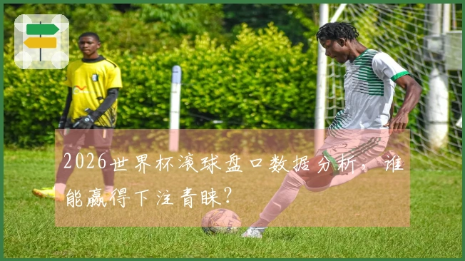 2026世界杯滚球盘口数据分析，谁能赢得下注青睐？