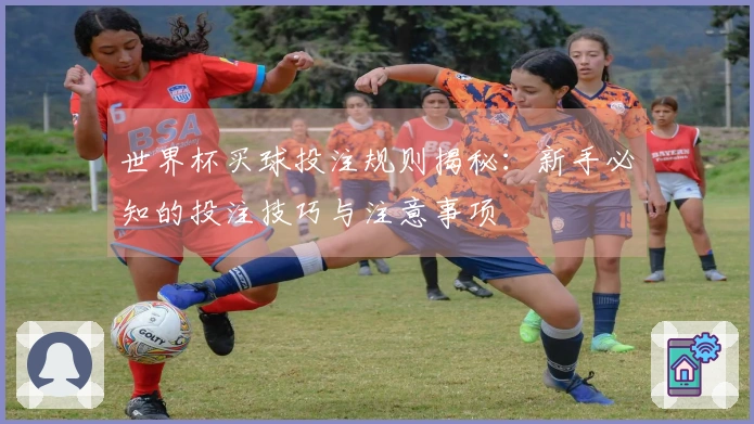 世界杯买球投注规则揭秘：新手必知的投注技巧与注意事项